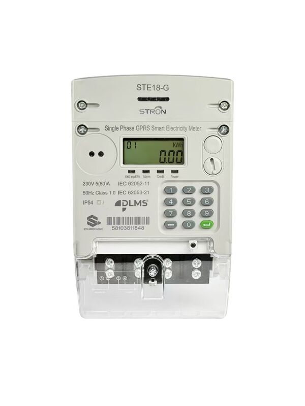 DLMS Smart Prepaid Electricity Meter para el sudeste asiático: lectura remota, multitarifa y reloj en tiempo real