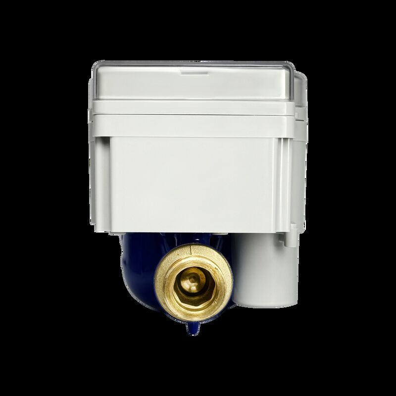 Stronsmart Factory Direct R100 STS Contador de agua inteligente prepagado Casilla de acero inoxidable integrada