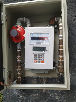 Contador de gas inteligente de control remoto para aplicaciones civiles 2,4 kg